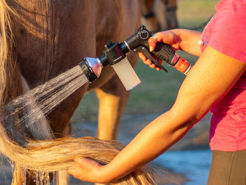 ReMuscles | EquiBathe™