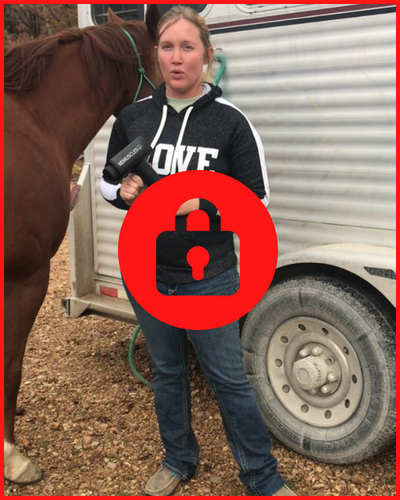 Videokurs "Hur du masserar din häst med Horse Gun Pro"