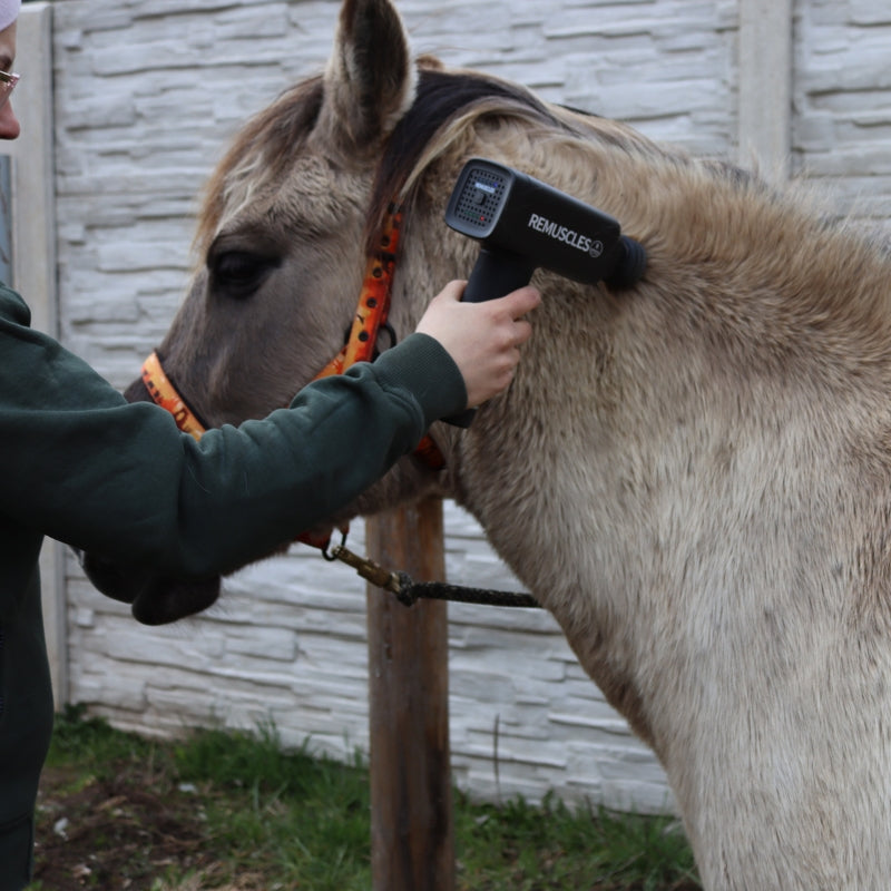 ReMuscles | Horse Gun Pro™